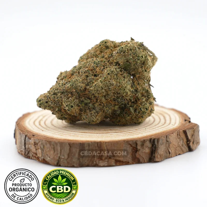 Flores de CBD hidroponico Zushi
