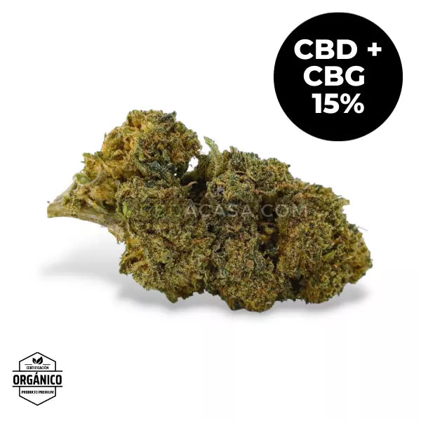 California Haze - Flor Premium con 15% CBD 🆕