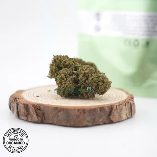 California Haze - Flores CBD frescas y bonitas