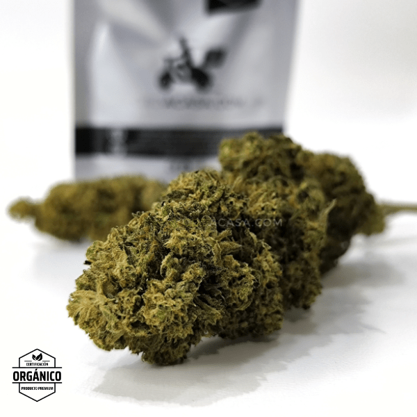 Flores CBD Cannatonic 100% ecológico a partir de 1 euro