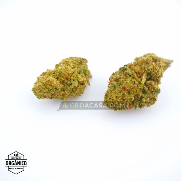 Flores CBD indoor Cheese Cake