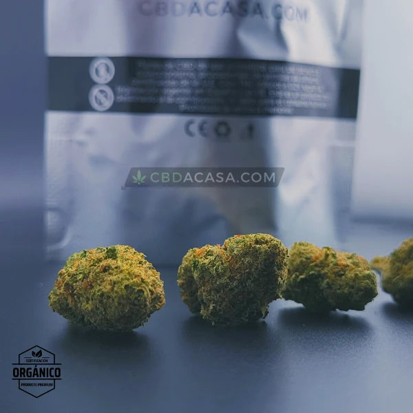 Flores CBD indoor Cheese Cake