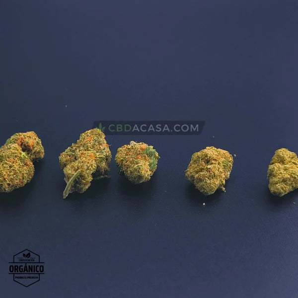 Flores CBD indoor Cheese Cake