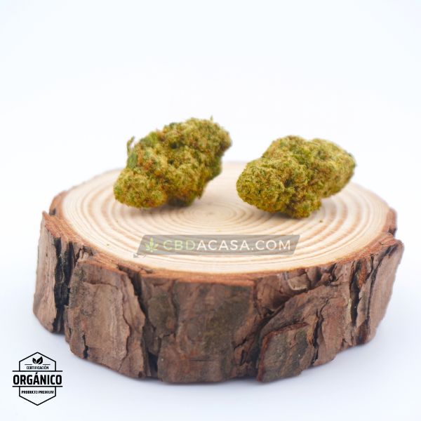 Flores CBD indoor Cheese Cake