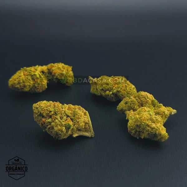 Flores CBD indoor Cheese Cake