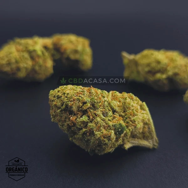 Flores CBD indoor Cheese Cake