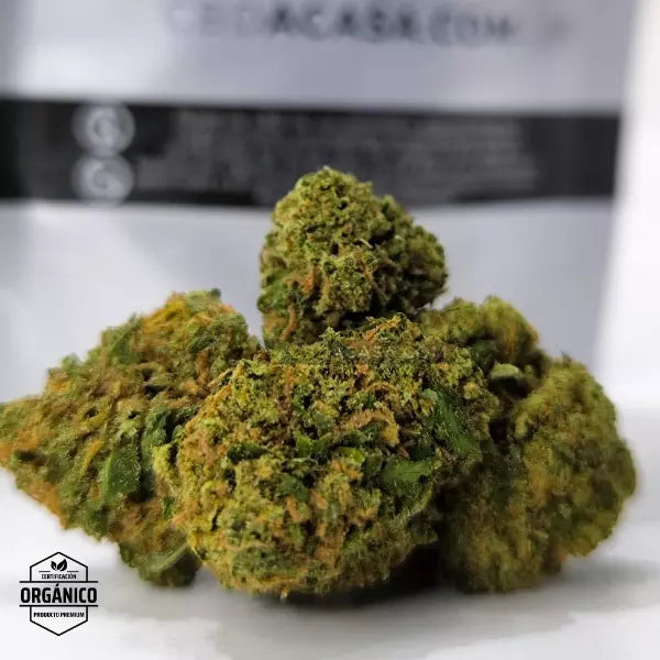 Oferta Navidad Chocolate Diesel