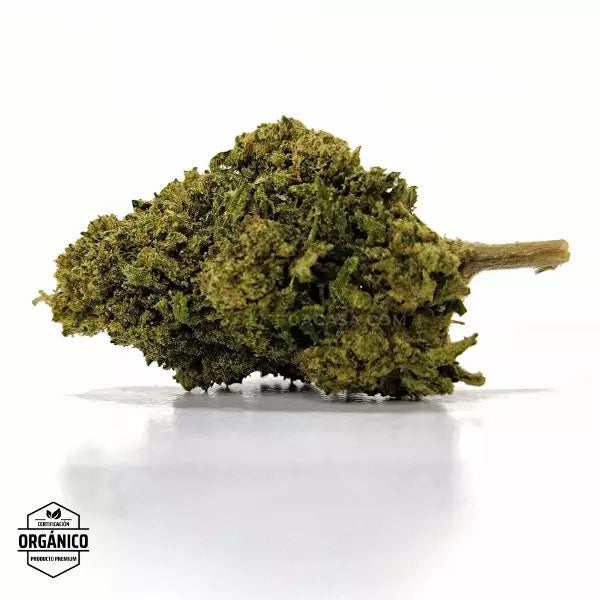 Oferta Navidad Chocolate Diesel