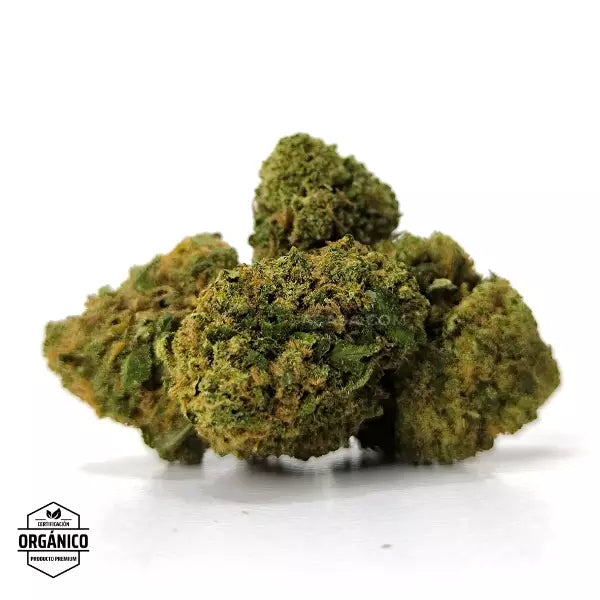 Oferta Navidad Chocolate Diesel