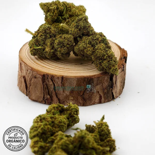 Flores de CBD Raspberry, frescas y bonitas