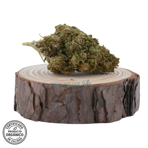 Flores CBD Lemon Tonik