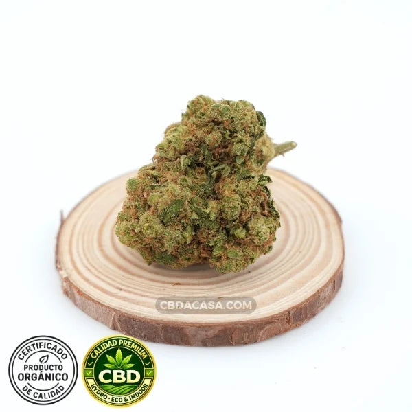 Amnesia Haze Hydro CBD – Premium hidropónica