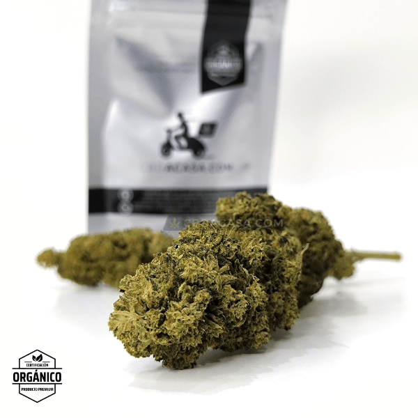 Flores CBD Cannatonic 100% ecológico a partir de 1 euro