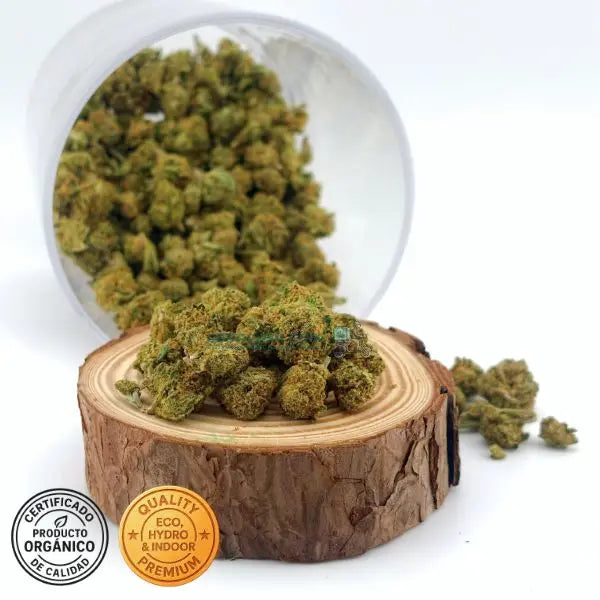 OG Kush Flores CBD indoor a buen precio