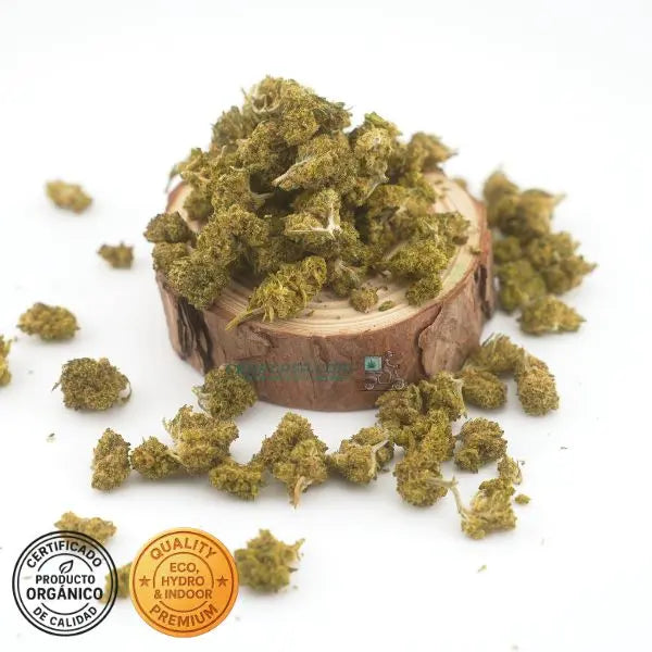 Orangello CBD Flower – Cultivo Indoor Hidropónico Orgánico | THC legal