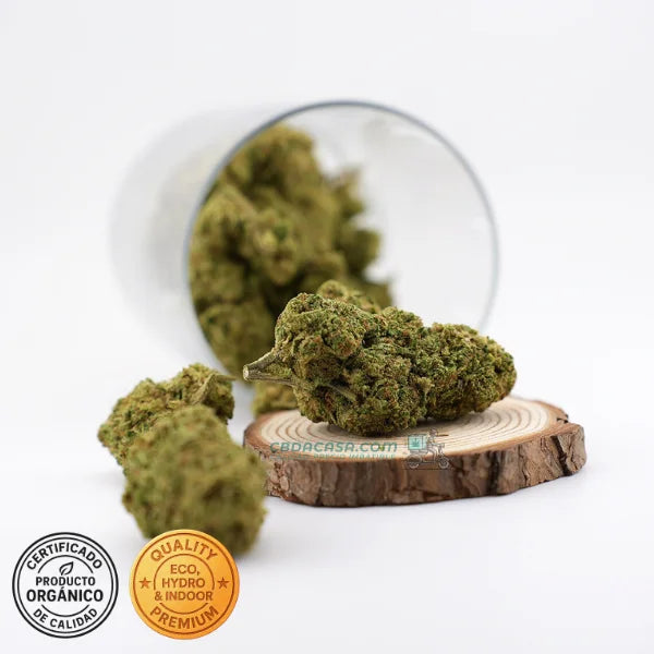 Runtz Muffin - flores CBD top