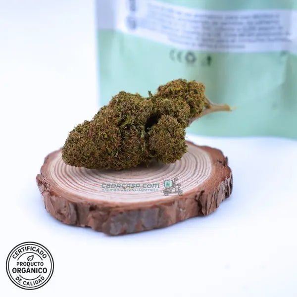 Flores CBD Sorbet