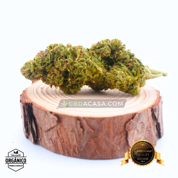 Flores CBD Top Crystal Snow Hidro