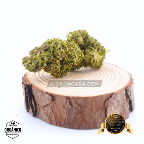 Flores CBD Top Crystal Snow Hidro