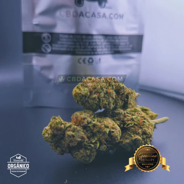 Flores CBD Top Crystal Snow Hidro