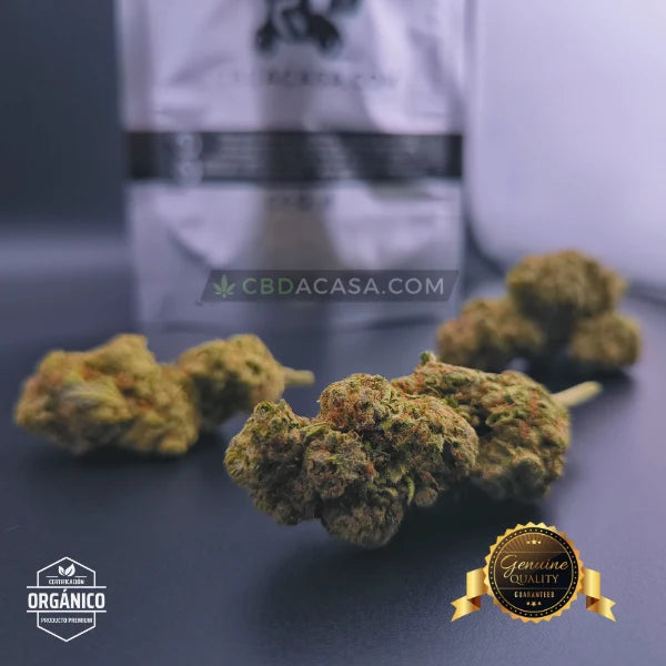 Flores CBD Top Crystal Snow Hidro