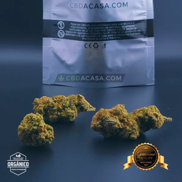 Flores CBD Top Crystal Snow Hidro