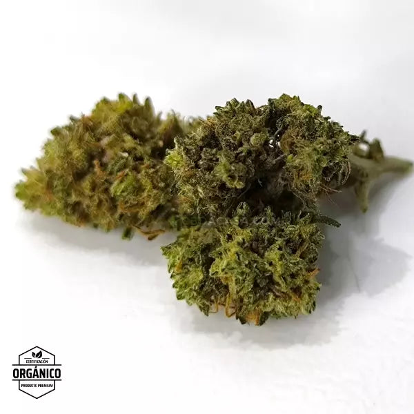 Flores CBD Pink Lady 100% ecológico desde 0,72 euro/gr