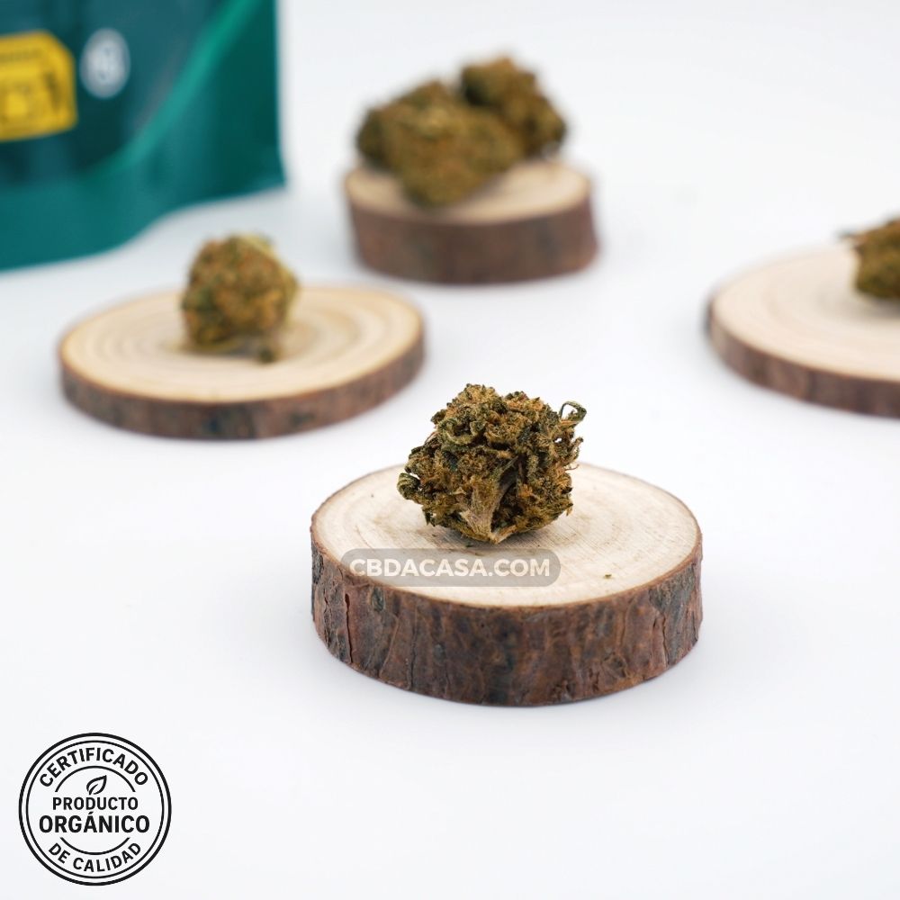 Flores CBD Wedding Cake Orgánica – Cultivo 100 % ecológico, legal