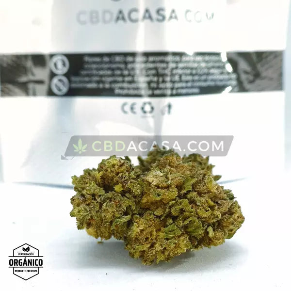 Flores CBD Mandarina Kush 🆕