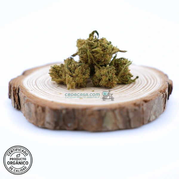 Flores CBD 1 euro Chocolate Diesel