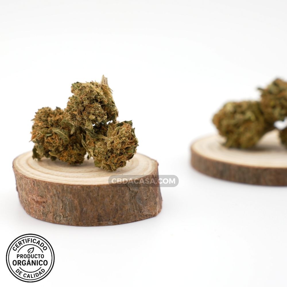 Flores de CBD Critical