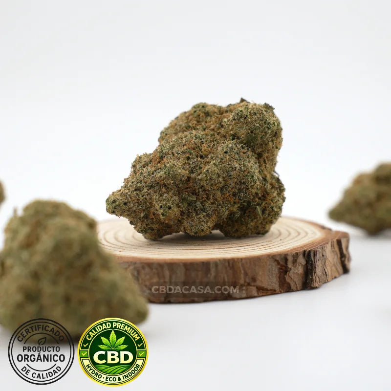 Flores de CBD hidroponico Zushi