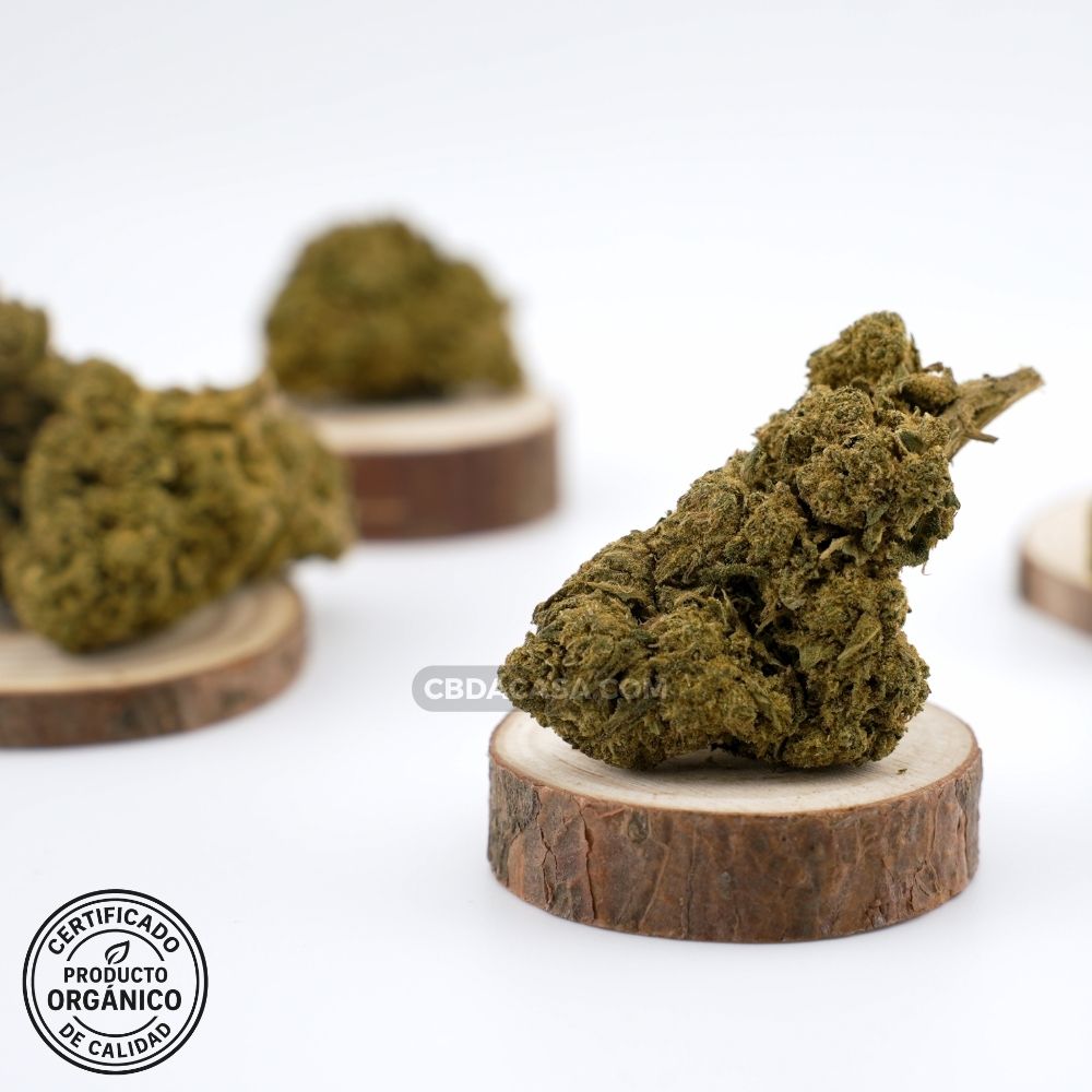 Flores CBD Candy Caramel – Cogollos grandes y verdes