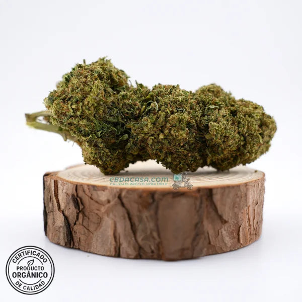 Flores CBD Bubba Kush - Cultivo Orgánico