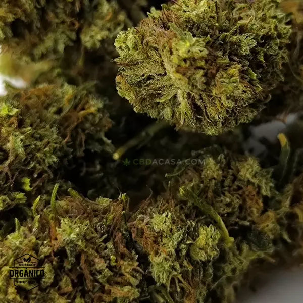 Flores CBD Pink Lady 100% ecológico desde 0,72 euro/gr