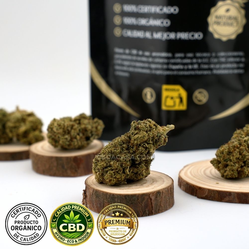 Acapulco Gold Flores CBD compactas hidroponicas