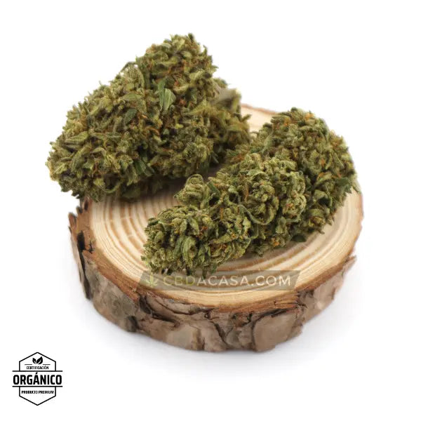 Flores de CBD Sherbanger