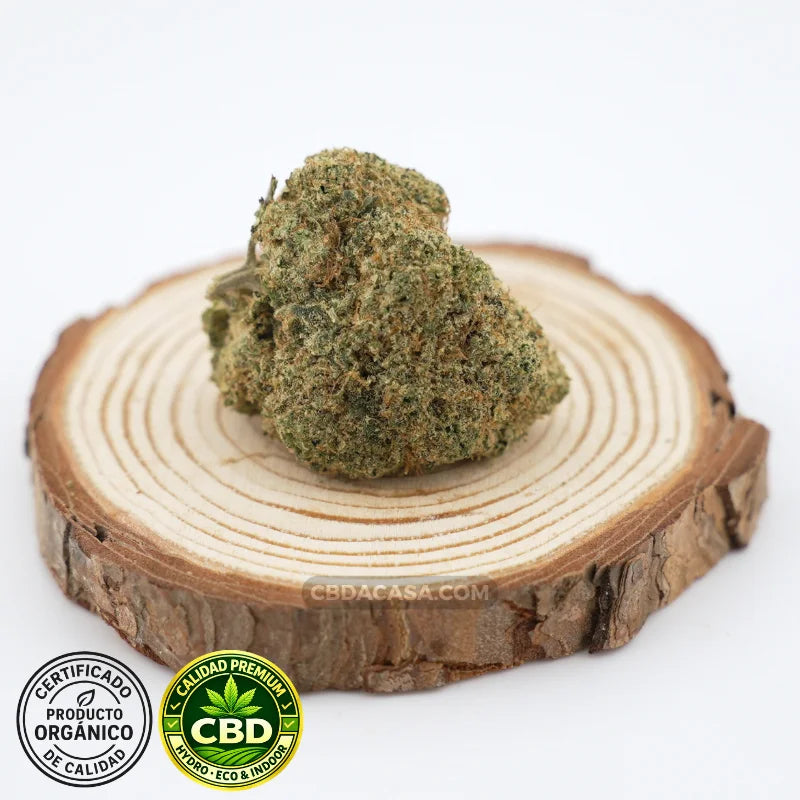 Flores de CBD hidroponico Zushi