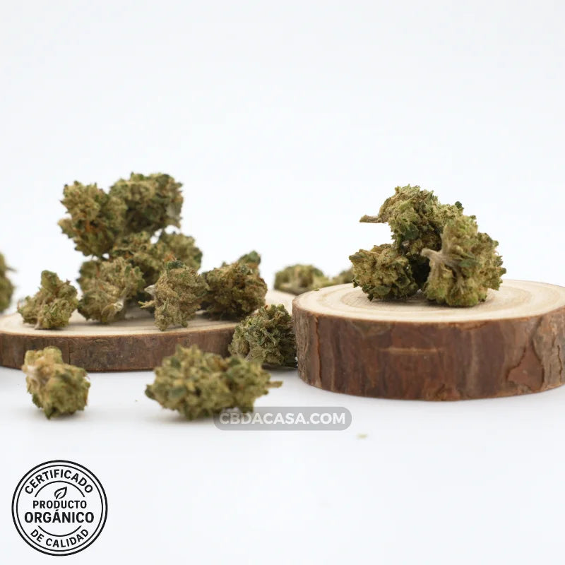 Flores de CBD AK47 desde 0,99€/gr