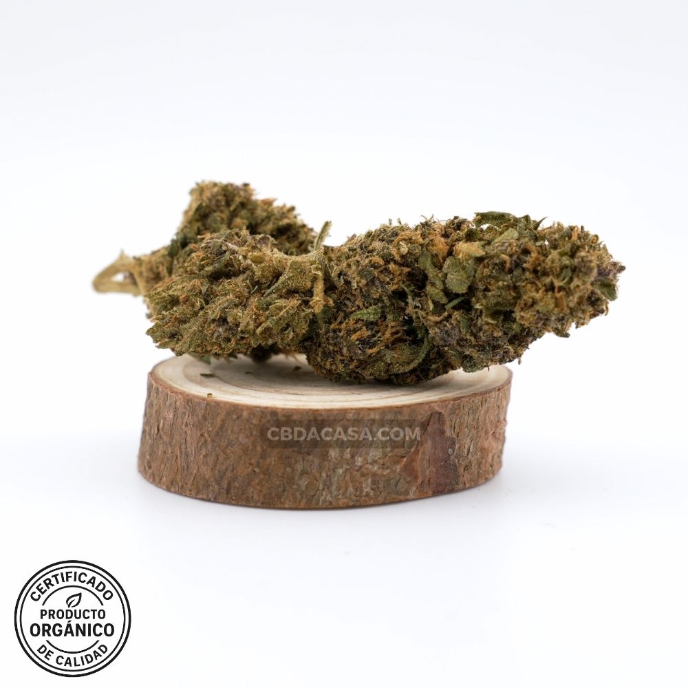 Flores de CBD Lime Purple