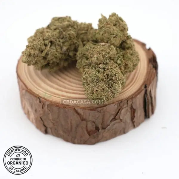 Oreo Cookies - CBD hidropónico