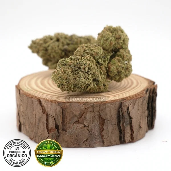 Oreo Cookies - CBD hidropónico