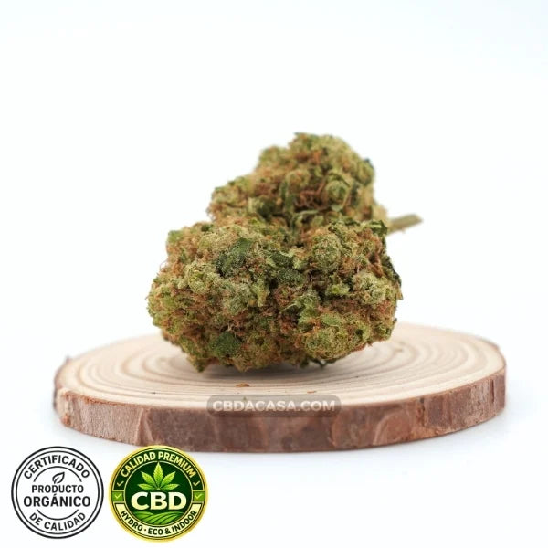 Amnesia Haze Hydro CBD – Premium hidropónica