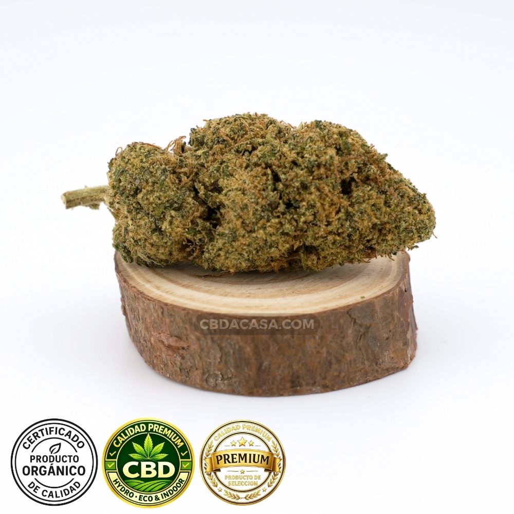 Flores CBD indoor Cheese Cake