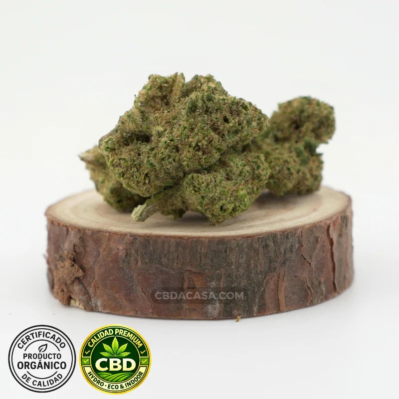 Flores de CBD hidropónico Medellin