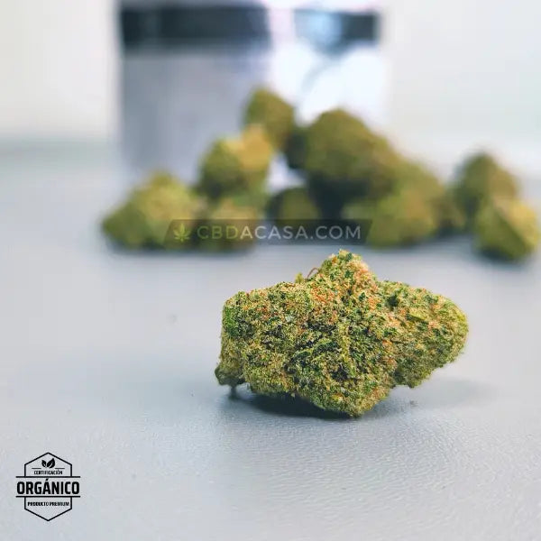 Flores CBD indoor Cheese Cake