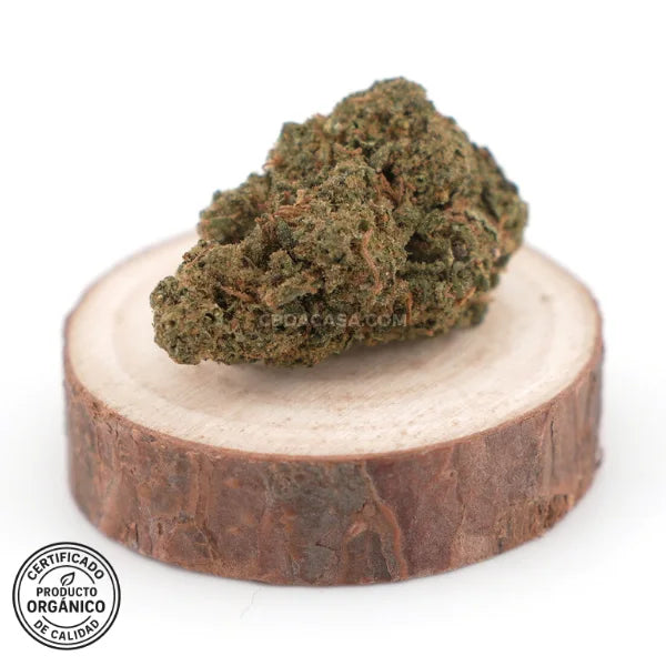 Flores CBD Pink Lady (100% ecológico)