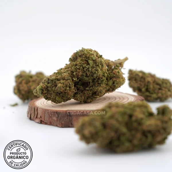 Flores de CBD Harlequeen 100% ecológico
