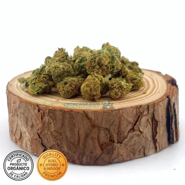 OG Kush Flores CBD indoor a buen precio