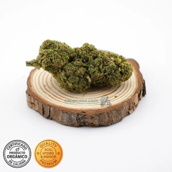 Runtz Muffin - flores CBD top